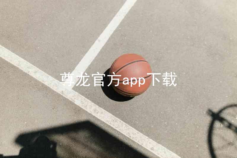 尊龙官方app下载