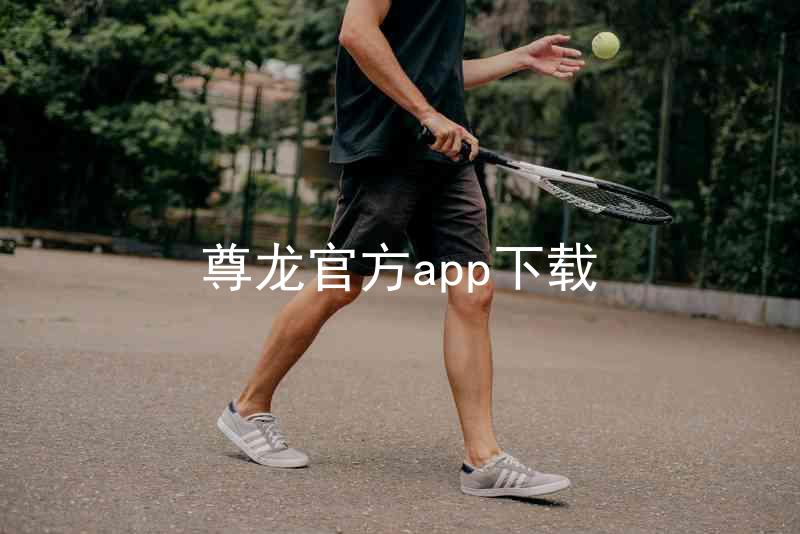 尊龙官方app下载